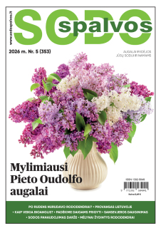 Sodo spalvos
