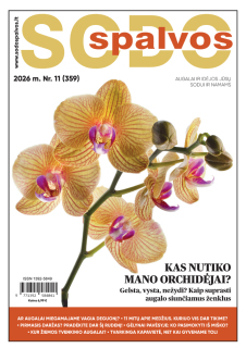 Sodo spalvos