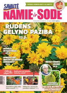 Namie ir sode