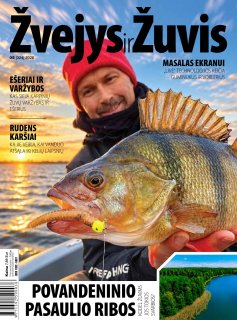 Žvejys ir žuvis