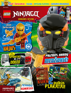 LEGO® NINJAGO®