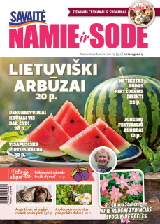 Namie ir sode