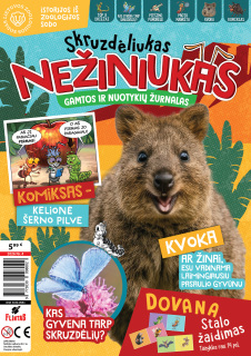 Skruzdėliukas Nežiniukas