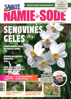 Namie ir sode