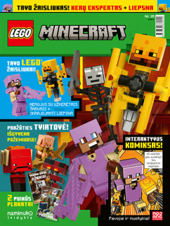 LEGO Minecraft™