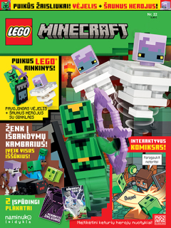 LEGO Minecraft™